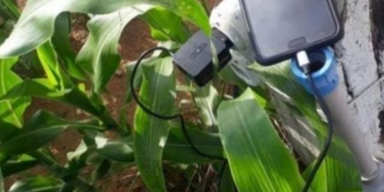 Imagem do grupo de WhatsApp Oportunidades do Agro 04🌱