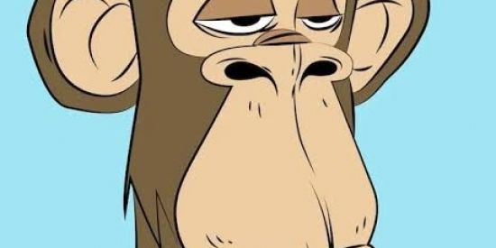 Imagem do grupo de WhatsApp Vendas de seguidores