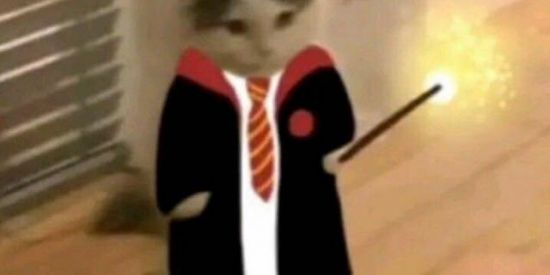 Imagem do grupo de WhatsApp Porão do Will