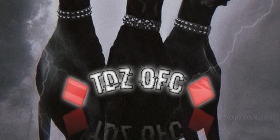 Imagem do grupo de WhatsApp 🐉𝑇.𝐷.𝑍🐉