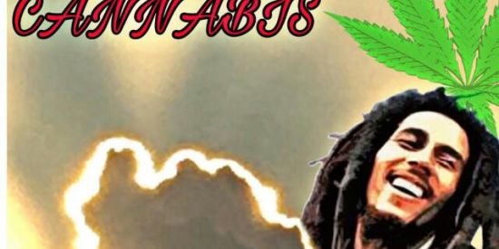 Imagem do grupo de WhatsApp lєgαliʑα єssα cαททαвis 🍁💥