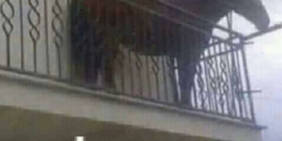 Imagem do grupo de WhatsApp MACACOBABUÍNO ShIt