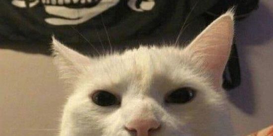 Imagem do grupo de WhatsApp Figurinhas e áudiomemes