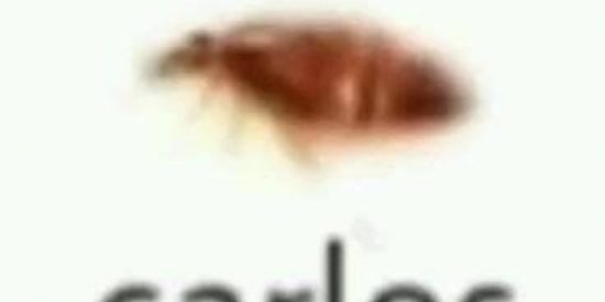 Imagem do grupo de WhatsApp 𝒕𝒉𝒆 𝒂𝒊𝒓 𝒐𝒇 𝒕𝒉𝒆 𝒉𝒐𝒎𝒆𝒍𝒆𝒔𝒔シ︎