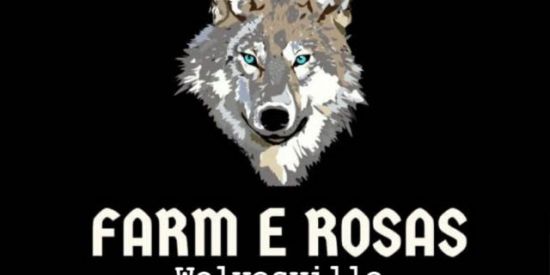 Imagem do grupo de WhatsApp Wolvesville FARM e ROSAS