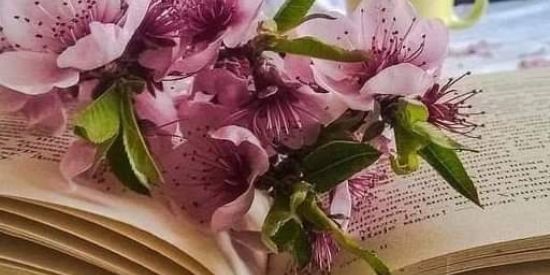 Imagem do grupo de WhatsApp Juntos somos mas forte 🙌