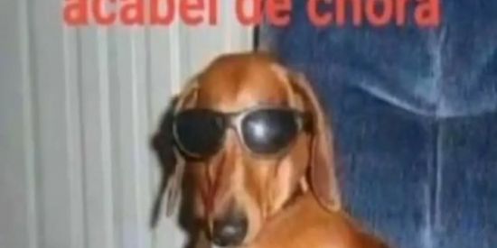 Imagem do grupo de WhatsApp Amizade e namoro 0.4