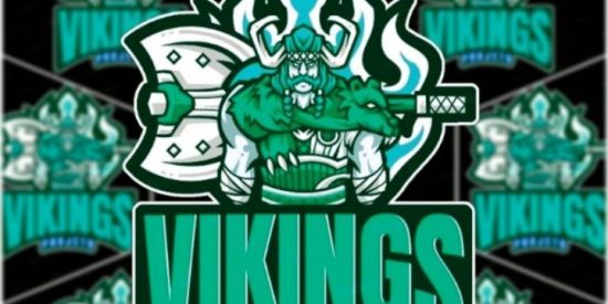 Imagem do grupo de WhatsApp 🤴🏻PROJETO VK'ร | REC. OFICIAL👸🏻