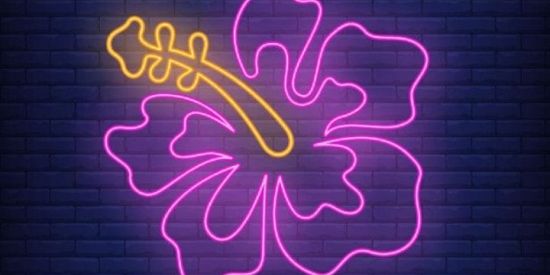 Imagem do grupo de WhatsApp RECRUTAMENTO