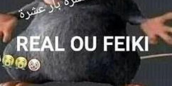 Imagem do grupo de WhatsApp 🇧🇷 MELHORES SHITPOSTER🇧🇷