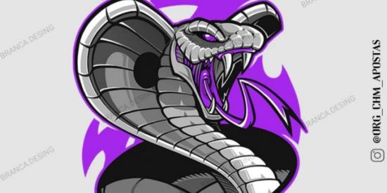 Imagem do grupo de WhatsApp 💸CHM DIVULGAÇÕES 💸#1