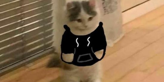 Imagem do grupo de WhatsApp GRUPO DE WEBNAMORO🏙