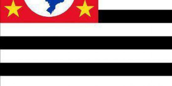 Imagem do grupo de WhatsApp SÃO PAULO POLÍTICA 📢💭💬