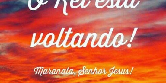 Imagem do grupo de WhatsApp O Rei Está Voltando🙏🏽