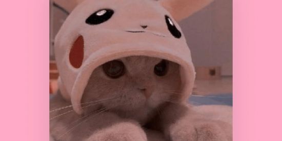 Imagem do grupo de WhatsApp ÄS MÅRÏÄ MÜCÏLÖN 🌚