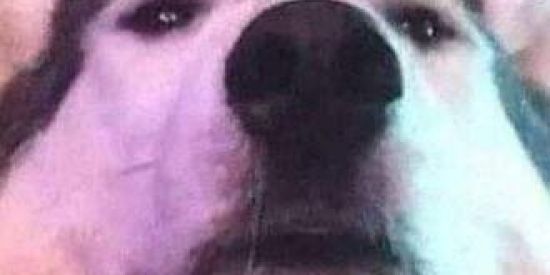 Imagem do grupo de WhatsApp Venha conhecer pessoas  novas