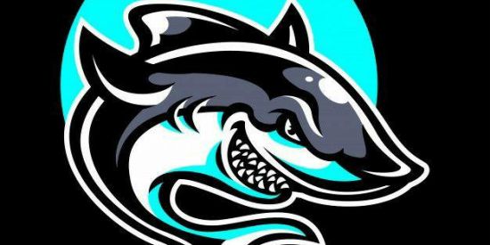 Imagem do grupo de WhatsApp 🦈• GANHE SEGUIDORES •🦈