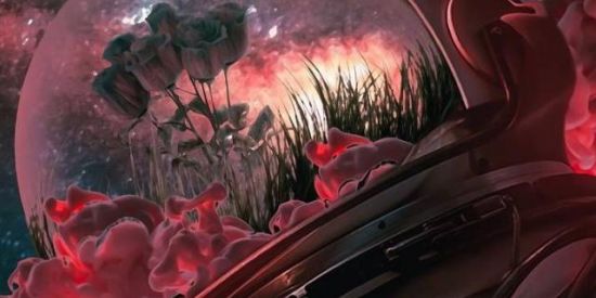 Imagem do grupo de WhatsApp ✨🌚S.O.S🌝✨