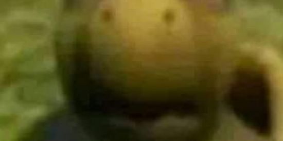 Imagem do grupo de WhatsApp Shitpost só q ruim