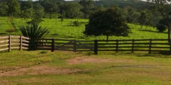 Imagem do grupo de WhatsApp Grupo  de musicas sertanejo