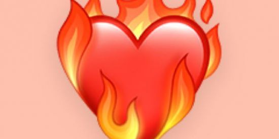 Imagem do grupo de WhatsApp Recepção Filhas de Vênus