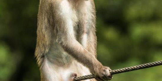 Imagem do grupo de WhatsApp CAMBADA DE ÓRFÃOS🙂