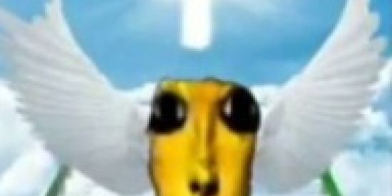 Imagem do grupo de WhatsApp 𝙲𝙻𝚄𝙱𝙴 𝙳𝙰𝚂 𝚆𝙸𝙽𝚇✨💦🤙