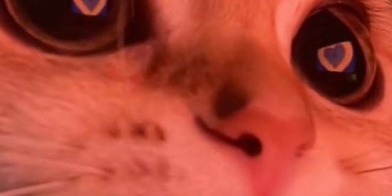 Imagem do grupo de WhatsApp ♡𝓦𝓮𝓫 𝓷𝓪𝓶𝓸𝓻𝓸 & 𝓪𝓶𝓲𝔃𝓪𝓭𝓮♡