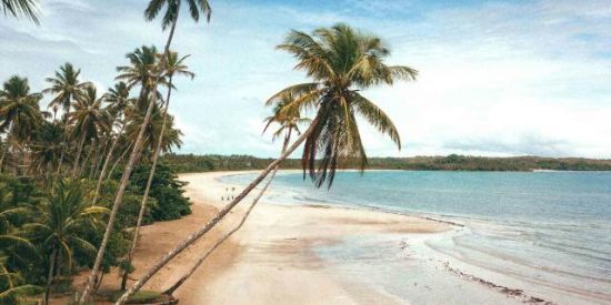 Imagem do grupo de WhatsApp Apenas DDD 75 79