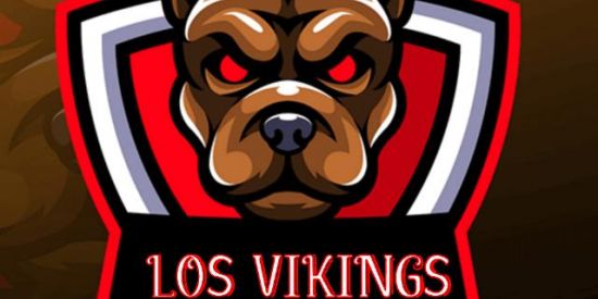 Imagem do grupo de WhatsApp LOS VIKINGS