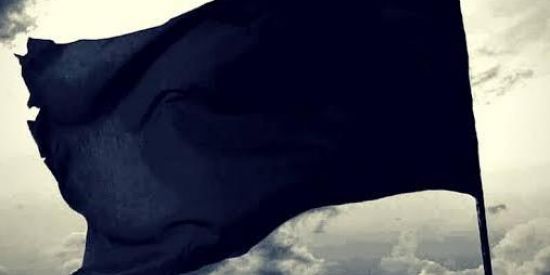 Imagem do grupo de WhatsApp Unidade De Defesa Popular