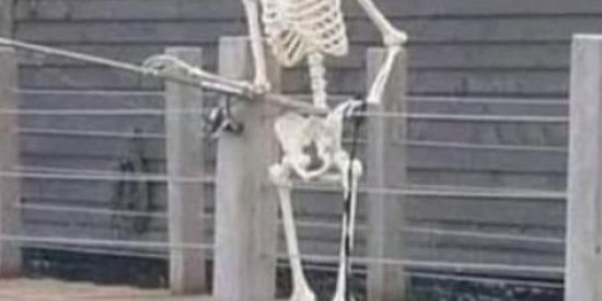 Imagem do grupo de WhatsApp To estressado kkkkkkkk