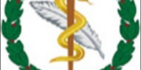 Imagem do grupo de WhatsApp FONORIO  Fonoaudiologia