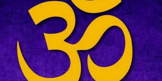 Imagem do grupo de WhatsApp sanatana dharma