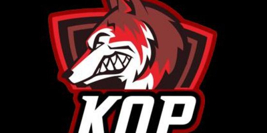 Imagem do grupo de WhatsApp GUILDA KOP