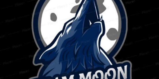 Imagem do grupo de WhatsApp ✨TEEM MOON✨ RECRUTAMENTO