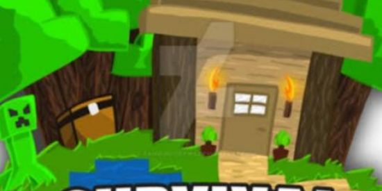 Imagem do grupo de WhatsApp Wynn Craft ⛏️💎
