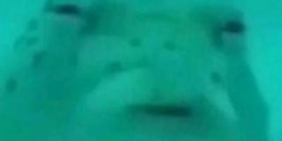 Imagem do grupo de WhatsApp best frendes seus pobris✅