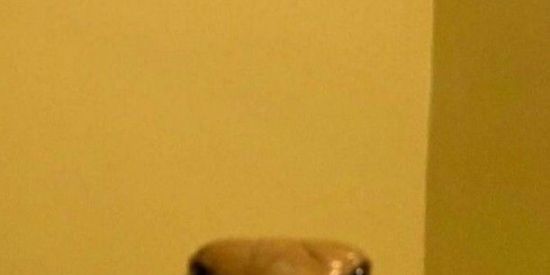 Imagem do grupo de WhatsApp Desoucupadoos