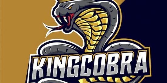 Imagem do grupo de WhatsApp PROJETO ASLAN 01