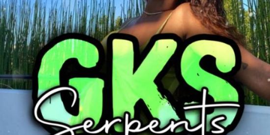 Imagem do grupo de WhatsApp RECRUTAMENTO 🦁•GK’ร•