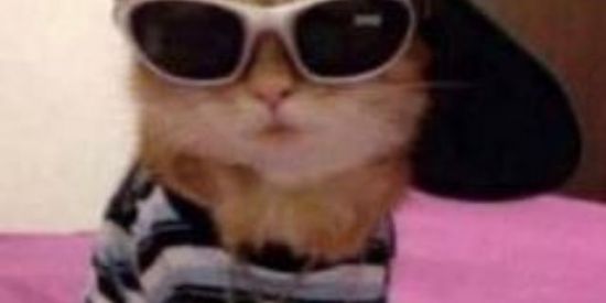 Imagem do grupo de WhatsApp 🪐👽𝙊 𝙎 𝘾 𝙍 𝙄 𝘼♛⃟⃤