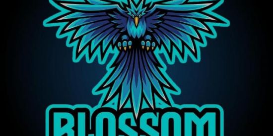 Imagem do grupo de WhatsApp 🌼▫️ TRIAGEM BLOSSOM ▫️🌼