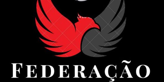 Imagem do grupo de WhatsApp 🦅 Federação PRO RR 🦅