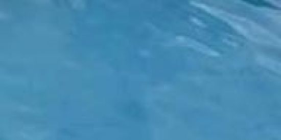 Imagem do grupo de WhatsApp Recrutamento 🐍รи'ร🐍⁩