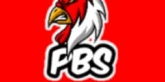 Imagem do grupo de WhatsApp PEBAS 🚩
