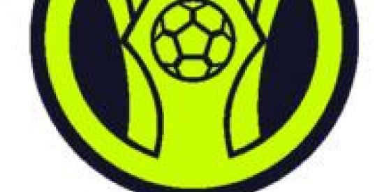 Imagem do grupo de WhatsApp Brasileirão assai