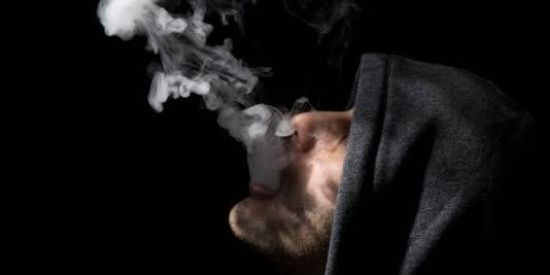 Imagem do grupo de WhatsApp Ser vivo⭐