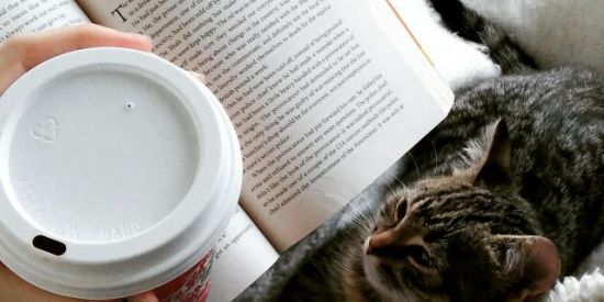 Imagem do grupo de WhatsApp Amor literário