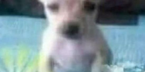 Imagem do grupo de WhatsApp ⚡⛓𝖉𝖊𝖘𝖆𝖇𝖗𝖎𝖌𝖆𝖉𝖔𝖘 ⛓⚡